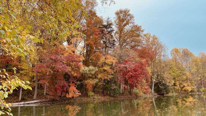 Fall foliage in Seneca Creek State Park