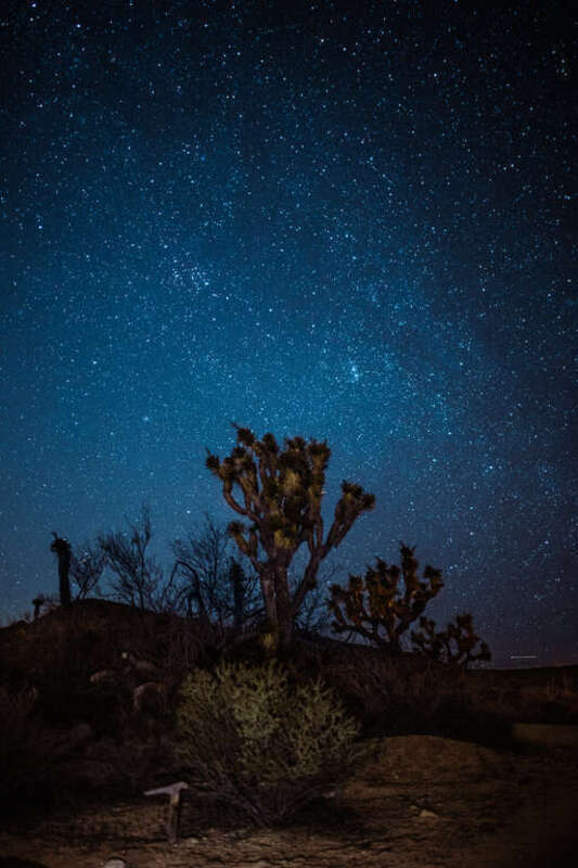 Joshua Tree, United States
