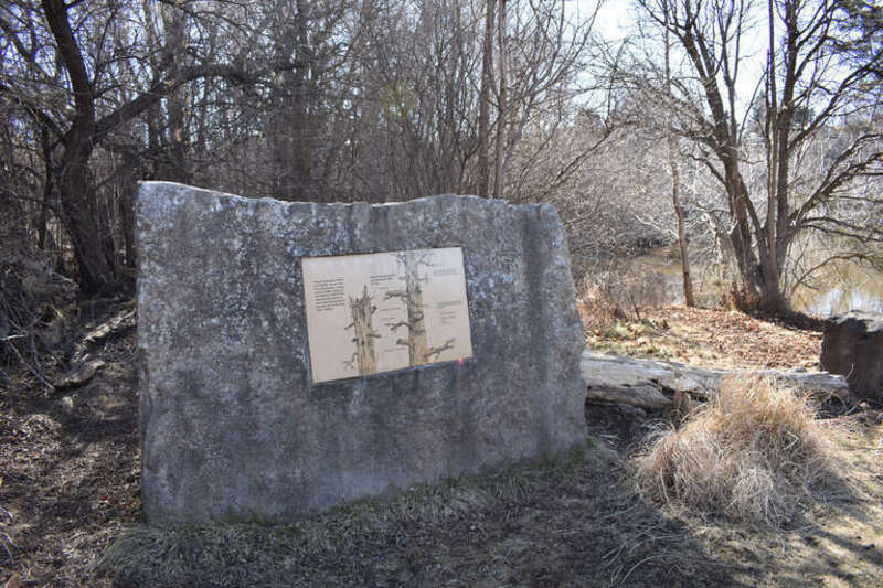 Kathryn Albertson Park in Boise, Idaho
