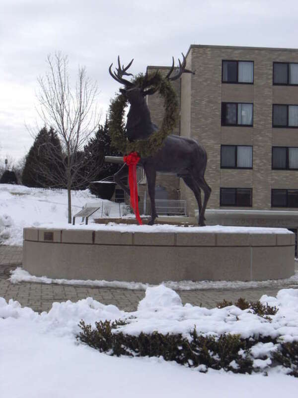 This images was taken on the campus of Fairfield University.