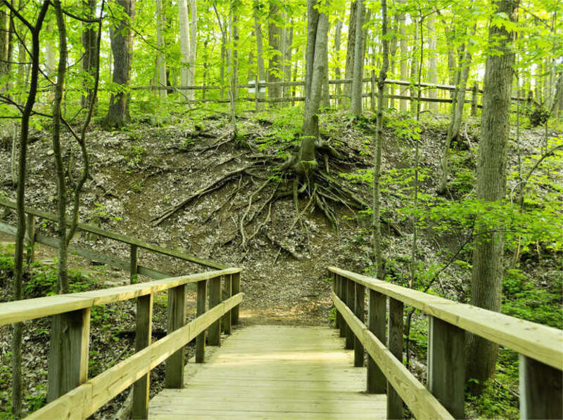 Woodlands trail in Holliday Park and Nature Center — in Indianapolis, Indiana. 
Spring forest foliage, in many of nature's shades of green colors.
Serge Melki on park outing: &quot;in all honesty, this park is very bland. green green and no colors.&quot;