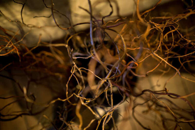 500px provided description: this photograph was taken at f/1.8 amidst a floral arrangement of twigs. i found it very interesting how the natural form winds through the frame into and out of focus depending on the distance of the surface to the lens.