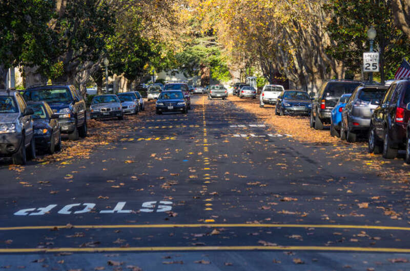 Thanksgiving prologue