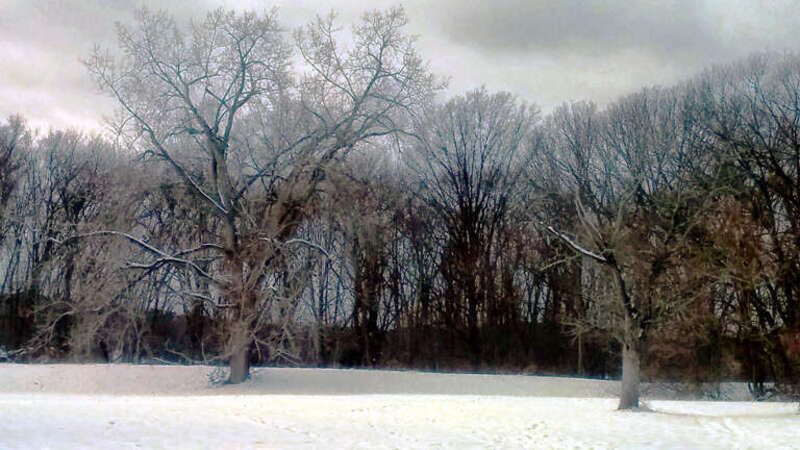 Thin, White Lines 3 (alt)