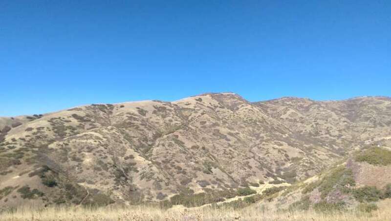 A view from the trails maintained by the University of Utah's Red Butte Garden.