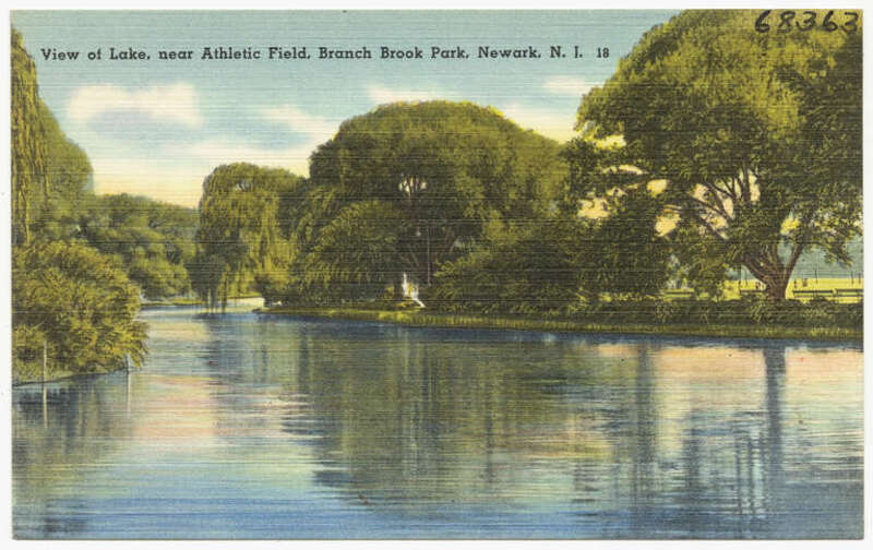 File name: 06_10_011628
Title: View of lake, near athletic field, Branch Brook Park, Newark, N. J. 
Date issued: 1930 - 1945 (approximate)
Physical description: 1 print (postcard) : linen texture, color ; 3 1/2 x 5 1/2 in.
Genre: Postcards 
Subject: