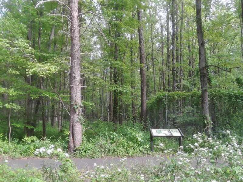 Huntley Meadows Park, Fairfax County, Virginia