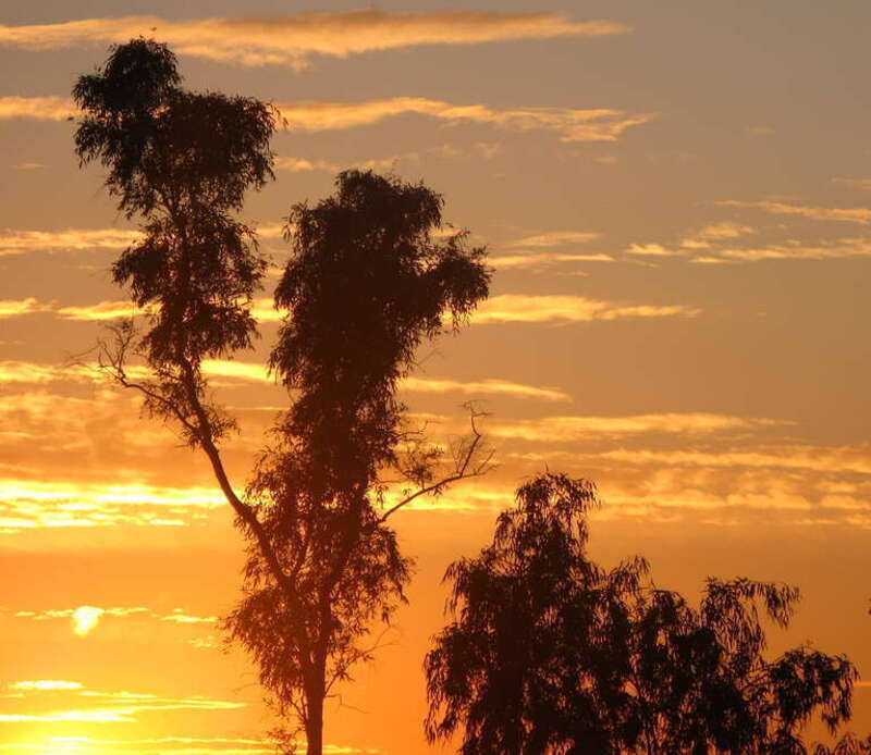 View east from baseball field, Desert Breeze Park, Chandler, Arizona