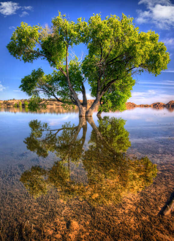 500px provided description: Same photo with a few clouds... [#reflection ,#tree ,#arizona ,#az ,#prescott ,#watson lake ,#michael wilson]