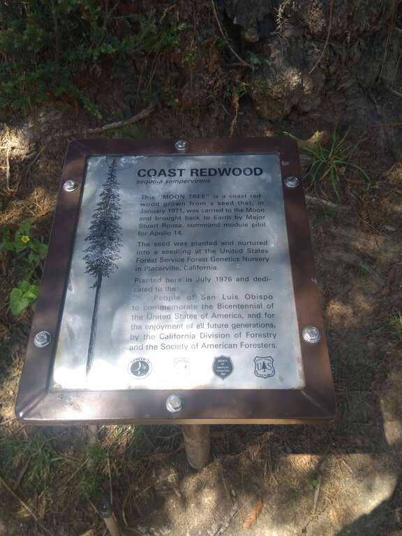 The Moon Tree plaque.