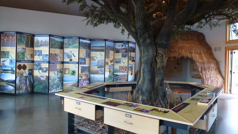 Environmental Nature Center, Newport Beach, CA - museum display