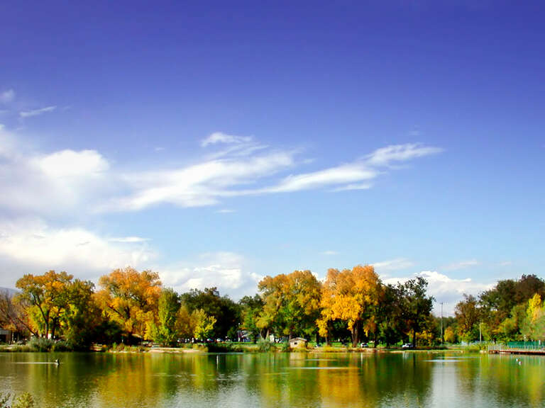 Fall in a Fort Collins Park