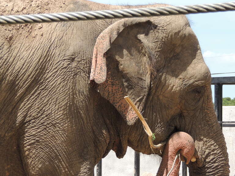 Taken at Niabi Zoo in Coal Valley, Illinois
