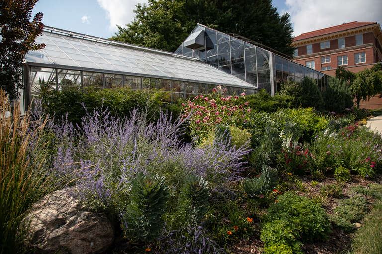 UNI Teaching and Research Greenhouse