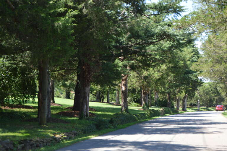 Entrance to the lane leading to Periwinkle Cottage, located at 2245 Blue Ridge Lane just west of Charlottesville in Albemarle County, Virginia, United States.  It is listed on the National Register of Historic Places.