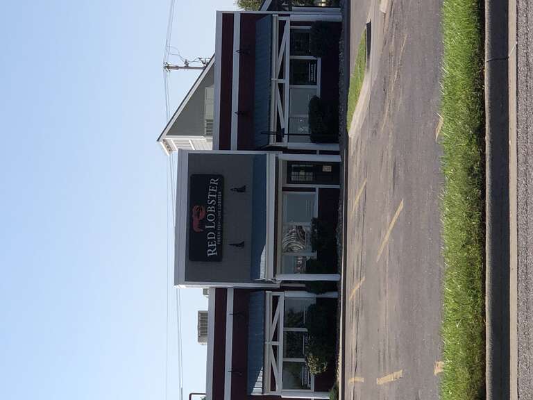 Red Lobster