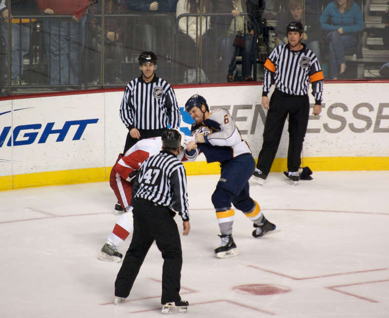 I love Weber's expression here.
Predators 8 - Red Wings 0

02-28-09