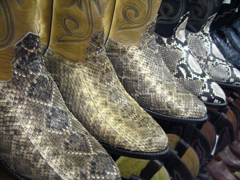 Snakeskin boots, Saba's Western Store, Scottsdale, AZ, USA.