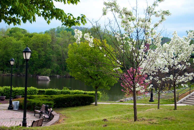 500px provided description: Upload N [#park ,#trees ,#flowers ,#flower ,#outside ,#tree ,#beautiful ,#branch ,#natural ,#plant ,#branches ,#bench ,#pretty ,#lamp ,#wood ,#stairs ,#outdoors ,#furniture ,#stem ,#grow ,#Nature]