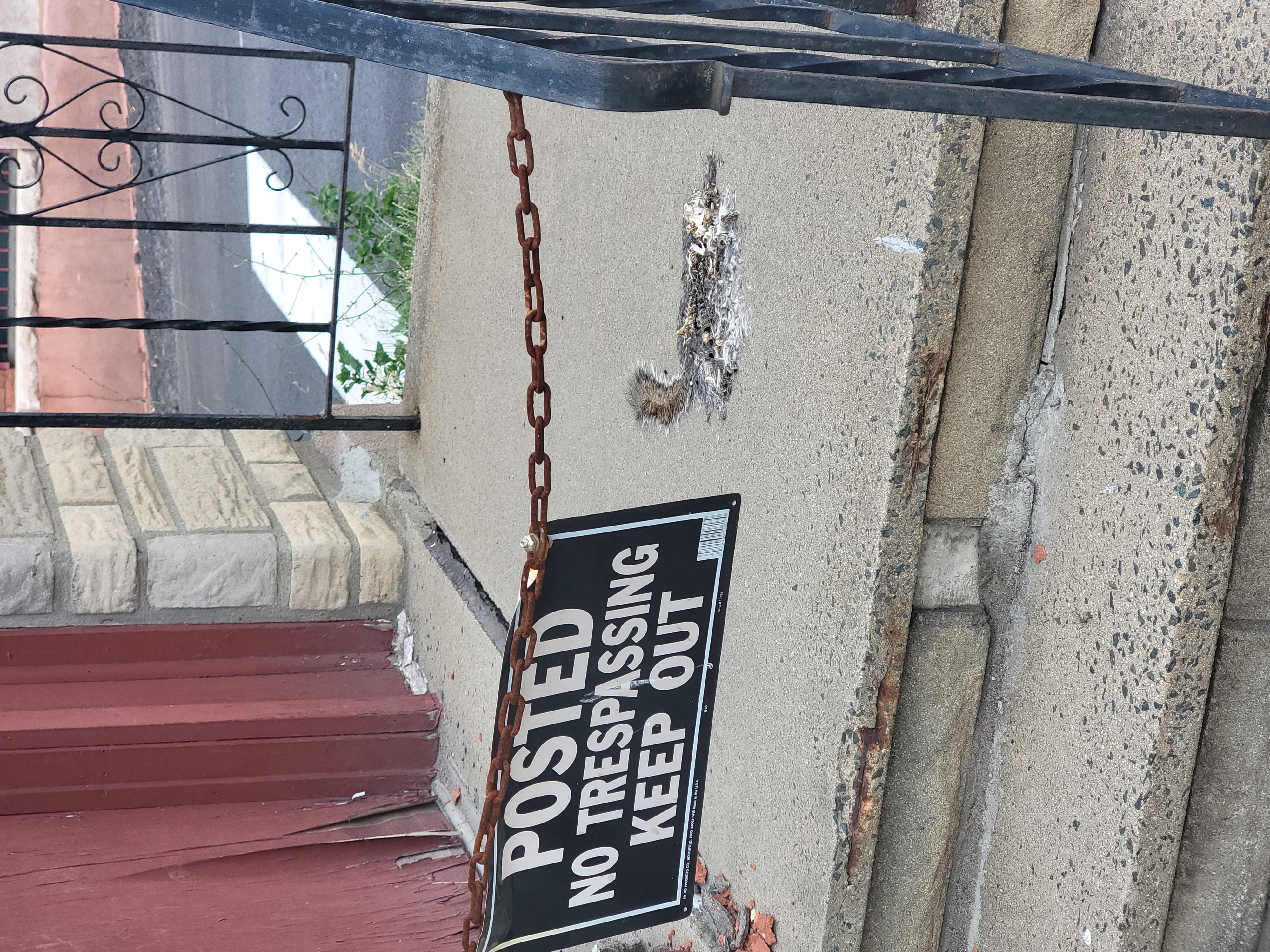 A &quot;Posted&quot; sign seen in Tory, New York before a entrance on River Street. A deceased squirrel is seen on the steps to the door.