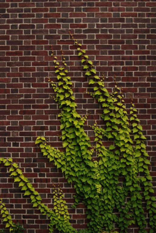 Center City West, Philadelphia, PA, USA