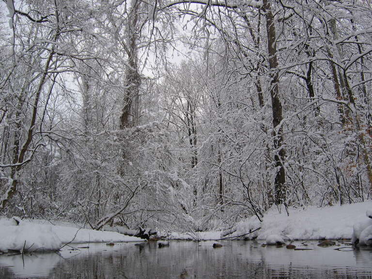 DC, Glover-Archibald Park, February 12, 2006