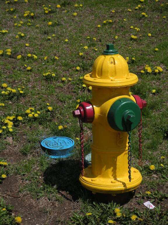 Fire Hydrant outside Weymouth Walgreens