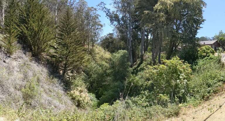 Lobitos Creek at Verde Road, looking upstream, San Mateo County, California