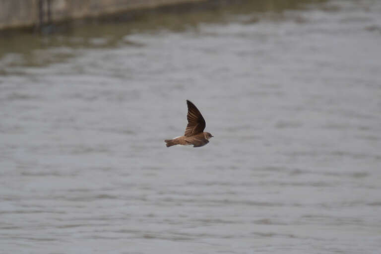 Hueston Woods State Park, College Corner, Ohio