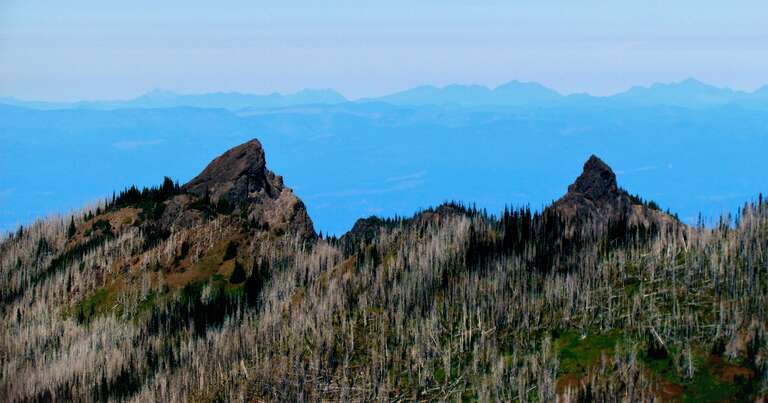 Unicorn Peak seen from Hurricane Ridge in Olympic National Park