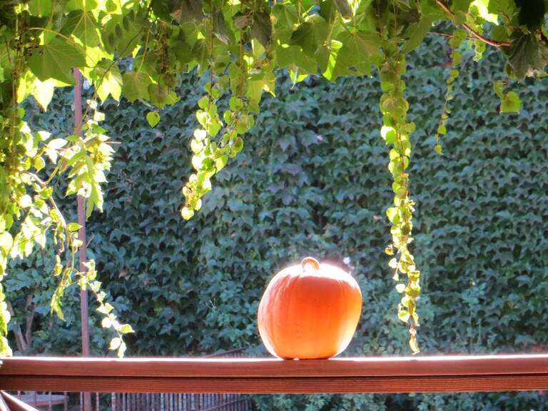 Pacific Blues Cafe 732 Yountville CA