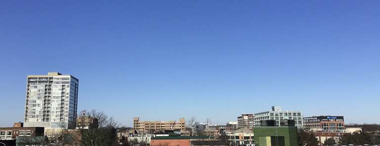 Skyline of Royal Oak