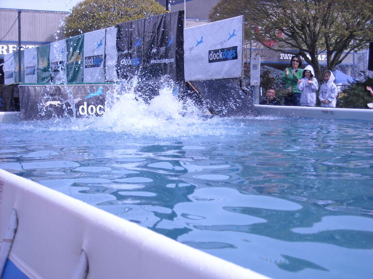 Sorry, man, this contest was intended mainly for the dogs. Not with their owners.