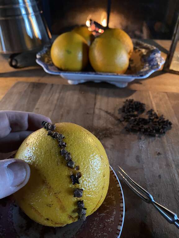 An orange with a line of cloves inserted into its peel.
Starting at the stem end, insert rows or a design of whole cloves. Avoid inserting the cloves close together in a straight line to prevent the peel from splitting.