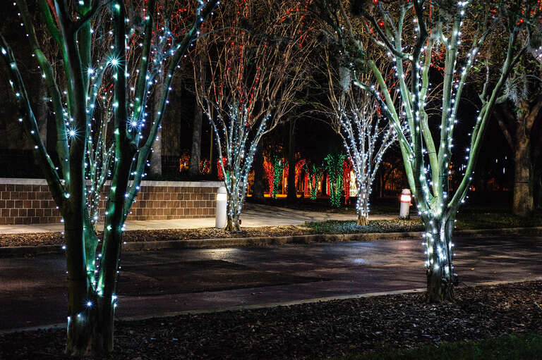 500px provided description: Handheld night shot taken back during the holidays. I guess I got lucky with the 1/30 shutter speed. [#night ,#florida ,#holidays ,#handheld ,#largo ,#sunstars]