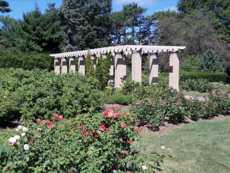 Part of the Rose Garden at Vander Veer Botanical Park in Davenport, Iowa.