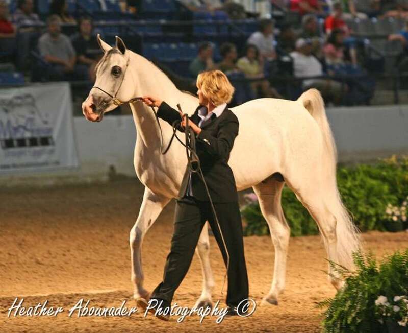 Photo by Heather Abounader
www.abounaderphotography.com

abounaderphoto.blogspot.com