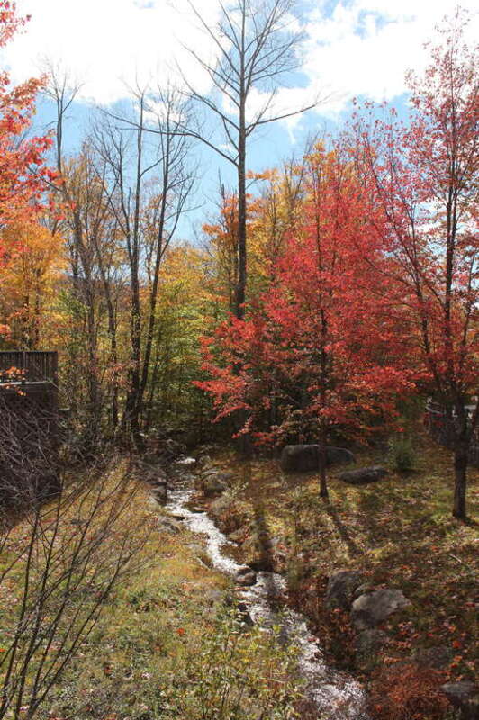 Flume Gorge, Daniel Webster Hwy, Lincoln, New Hampshire, United States