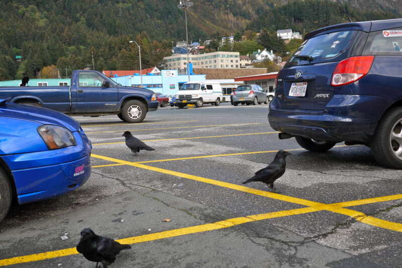 Don't look too close