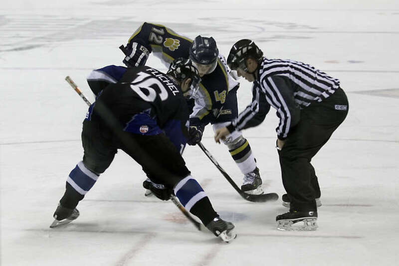 Ice Dogs @ Steelheads