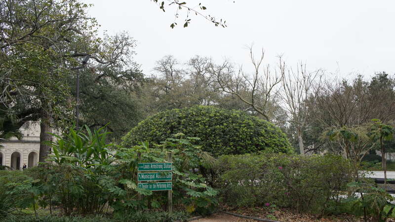 NOLA 2013 - Mardi gras - Louis Amstrong Park 
Le parc Louis Armstrong est un jardin public situe a la limite du quartier francais historique du Vieux carre de La Nouvelle-Orleans en Louisiane. Ce parc se denommait Place Beauregard avant d'etre