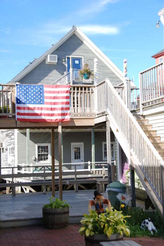 Patriotic Professional