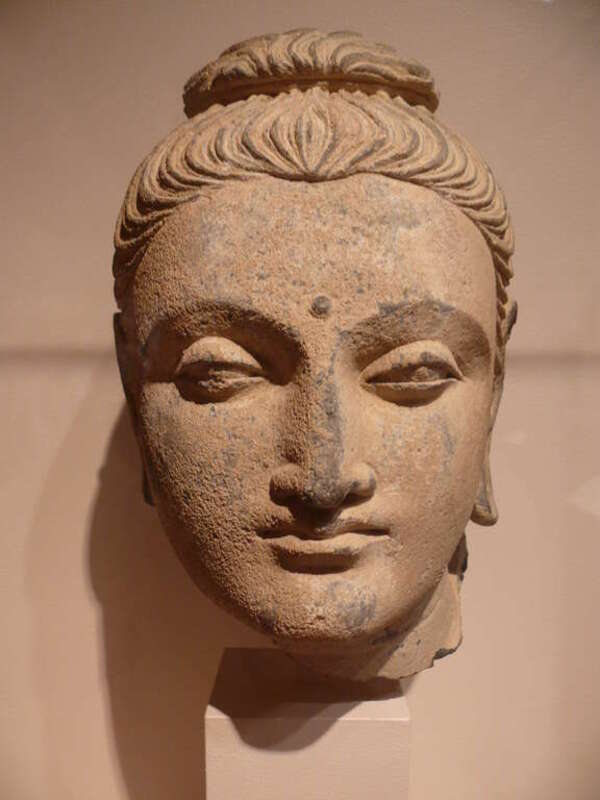 Head of Buddha in the Rhode Island School of Design Museum. It dates from the 1-3 centuries, it is made of gray schist and was found in Nortwestern India.
Helen M. Danforth Acquisition Fund 81.211