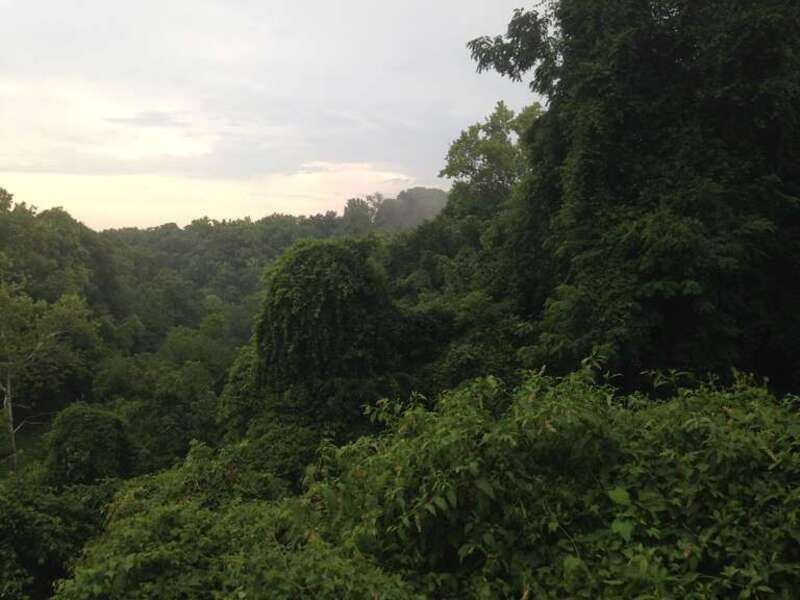Rock Creek Park in Washington DC near Embassy Row