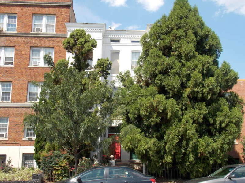 The Roosevelt Apartment Building is located at 1116-1118 F St., NE.,, Washington DC. (the white structure behind th evergreens). It is listed on the National Register of Historic Places.
