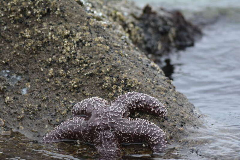 This is an image of a place or building that is listed on the National Register of Historic Places in the United States of America. Its reference number is 97001007.