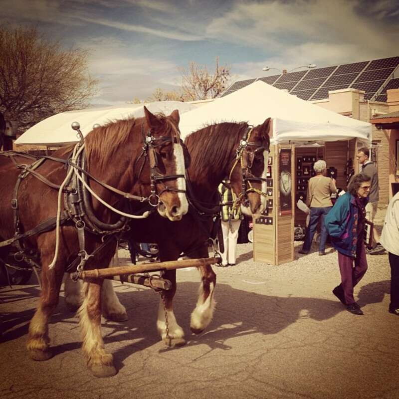 During the Tubac Festival of the Arts in Tubac, Arizona.