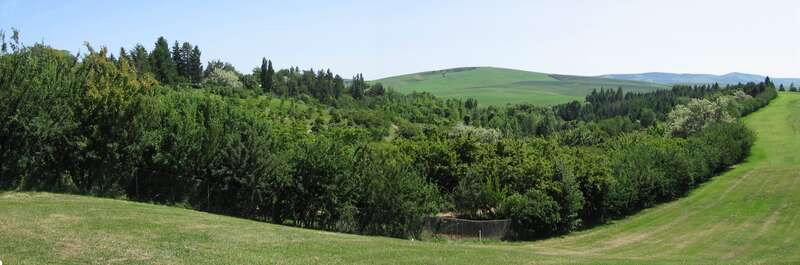 Panorama of the western side of the University of Idaho Arboretum and Botanical Garden