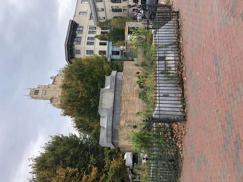 Let's all raise weeds to erase history in Asheville NC. 
Site of former Zebulon Baird Vance Monument.