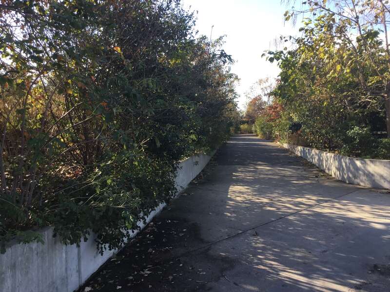 Brooklyn Bridge Park in November 2022